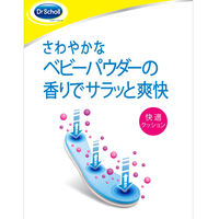 Dr.Scholl　フレッシュ　ステップ　レディ2　802309　(2枚入）ショールズウェルネスカンパニー