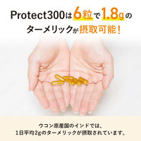 アビオス プロテクト300 1個(120粒)  ターメリック ウコン サプリメント