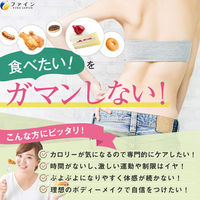 カロリー気にならない脂質専用 3個 ファイン