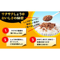 キッコーマン 食べるしょうゆ サクサクしょうゆ 90g 1袋 ご飯のお供 フリーズドライ 醤油 ガーリック オニオン いりごま入り