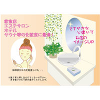 栄和産業 耳かき綿棒100本入 4510086002356 1個