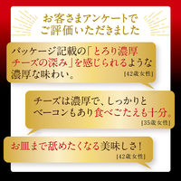 ニップン REGALO（レガーロ）カルボナーラ とろり濃厚チーズの深み 1人前 1セット（1箱×3）パスタソース