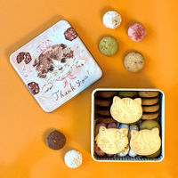 DADACA 【2個セット】こねこのこねこねクッキー缶 24-0437-021 1セット(2個入)（直送品）