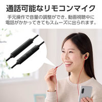 エレコム イヤホン/USB Type-C/デジタル式/カナル/10mmドライバ/イヤーアーム付き/シルバー EHP-DF12CMSV 1個