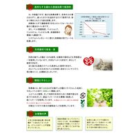 （お試しサイズ）ペットの脱臭トイレ砂 脱臭梅 猫砂 0.5L 1袋 センターバレイ