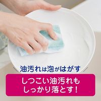 チャーミー 泡のチカラ 手肌プレミアム 詰め替え 530mL 1セット（1個×3） ライオン