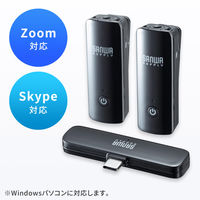 サンワサプライ ワイヤレスマイク(マイク2台) MM-MCW02 1個（直送品）