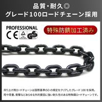 ベスト・アンサー 軽量小型レバーホイスト VH 0.5t lh-vh050-4p 1セット(4台入)（直送品）