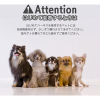 ベスト・アンサー ハーネス&リードセット 胴輪 首輪 小型犬 中型犬 ブラウン pet-075-br-m 1セット（直送品）