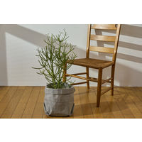 【園芸用品】 アイリスオーヤマ テキスタイルプランター ホック グレージュ TXP-J22H 1個