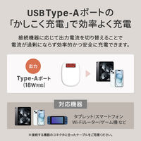 オウルテック PD20W対応 5000mAh コンパクトモバイルバッテリー ブラック OWL-LPB5018-BK 1個