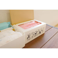 錦化成 ミッキーマウス オムツブクロケース 4460100 1ケース（直送品）