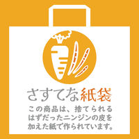 マツシロ さすてな紙袋 ペーパーバック 「にんじん」A4ヨコ 10枚セット 62SUA4N 1包（直送品）