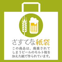 マツシロ さすてな紙袋 ペーパーバック 「びーる」小タテ 10枚セット 62SUSB 1包（直送品）