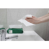 ペーパータオル 小判 バガス パルプ シングル エコノミー FR-6641 1セット（1袋（200枚入）×96）ファーストレイト