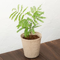 【園芸用品】花と野菜、観葉植物にも使える かるい培養土 10L オリジナル