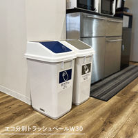 テラモト エコ分別トラッシュペールW30 本体 DS2451000 1台