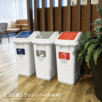 テラモト エコ分別トラッシュペールW40 蓋 赤 もえるゴミ DS2455022 1個