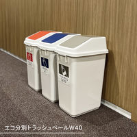 テラモト エコ分別トラッシュペールW40 本体 DS2454000 1台