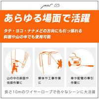 ベスト・アンサー ハンドウインチ 800kg 10m グレー diy-035-gr 1台（直送品）