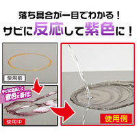 アイメディア 業務用スカッとサビ取り泡スプレー 1008528 1個（直送品）