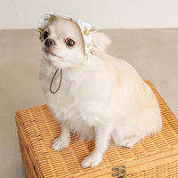バナナ柄帽子 Mサイズ 1個 犬用 アルクロース