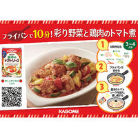 カゴメ 基本のトマトソース 295g 1個