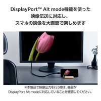 タイプCケーブル (USB-C to C) PD対応 100W 1.5m 黒 MPA-CC1G15BK エレコム 1個