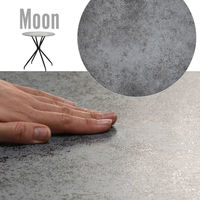 【軒先渡し】B.Bファニシング PLLITE ダイニング 5点セット ムーン グレー PLSE0239CEMON 1セット(5点)（直送品）