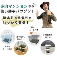 第一ビニール 多肉マンション 観葉/多肉植物用ゲージ 4968438026015 1箱(10個入)（直送品）