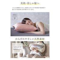 AQUA Silk Collection シルク100% 枕カバー 430×630mm ライトグレー 568000Y1 1枚（直送品）