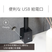 LEDデスクライト モニターライト 調光調色 3段階 Ra95 USB給電口搭載 ブラック スワン電器 AS-755BK 1台