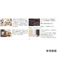 アズワン オプション エンドパネル リスタプラス中央両面タイプ用 ダークブラウン 65-8769-11 1台（直送品）