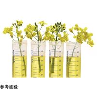 エッペンドルフチューブ BioBased 50mL スクリューキャップ Sterile 25本×20袋入 0030122542（直送品）