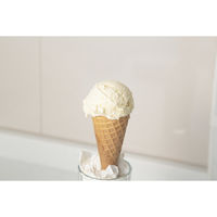 貝印 KK ディッシャー DH8115 1本