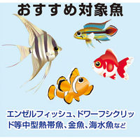 キョーリン ビタクリン アダルトブライン 100g 1枚 283561 1個（直送品）