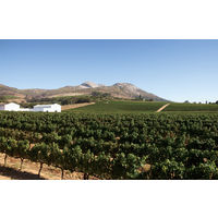 南アフリカ　KWV ケープ ルージュ 赤ワイン　ミディアムボディ　750ml 1本　国分