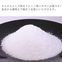 エンリッチ塩　470g 3個 マルニ 塩 国産海塩使用