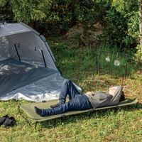 武田コーポレーション スチールローコット SLC22-CZ 1箱(2個入)（直送品）