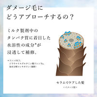 プラストゥモロー オーバーナイト ヘアセラム 80ml ファイントゥデイ