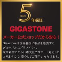 10倍高耐久MLCマイクロSDカード　パッケージ版 GJMX-16GMLCRW 1枚 Gigastone（直送品）