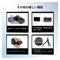 サイエルインターナショナル 赤外線機能付きハンディカメラ SLI-IHC30C 1個