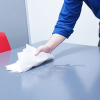 小野商事 ペーパータオル 中判 厚手 200枚入 WS6520 1セット(1個×48)