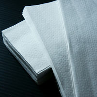 小野商事 ペーパータオル 小判 厚手 200枚入 WS6500 1セット(1個×54)