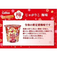 じゃがりこ 梅味 12個 カルビー スナック菓子 おつまみ