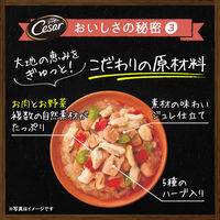 シーザー 自然素材レシピ 蒸しささみ・ビーフ＆パプリカ・いんげん（60g×4袋）1袋 ドッグフード ウェット パウチ