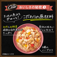 シーザー 自然素材レシピ 平飼い鶏の蒸しささみ＆農園野菜（60g×4袋）1袋 ドッグフード ウェット パウチ