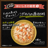シーザー 自然素材レシピ 蒸しささみ＆にんじん チーズ入り（60g×4袋）1袋 ドッグフード ウェット パウチ