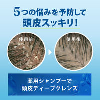 h＆s（エイチアンドエス）5in1 クールクレンズ シャンプー 詰め替え 超特大サイズ 850g P＆G