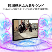 Lenovo Tab M10 Plus (3rd Gen)  レノボ 10.61インチ タブレット ZAAM0080JP 1台（直送品）